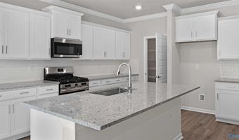 27796 Onyx Ct, Athens, AL 35749