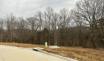 Boone Point Subdivision, Boonville, MO 65233