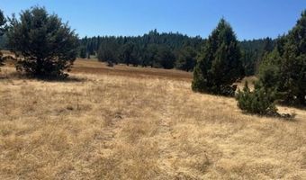 002 Ash Vly, Adin, CA 96006