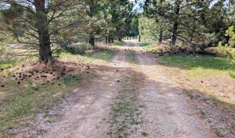 11100 Bens Rd, Cascade, ID 83611