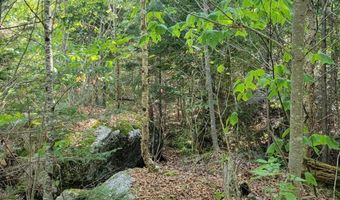 B-2BackLot Pioneer Path, Aurora, ME 04605