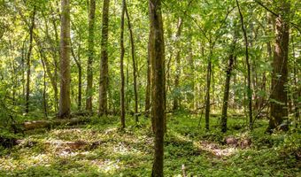 23680 Highway 58, Baskerville, VA 23915