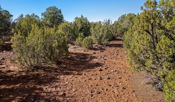 233 Co, Concho, AZ 85924