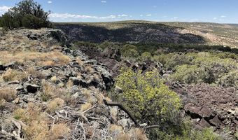 425 N 8051, Concho, AZ 85924