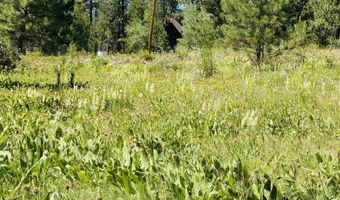 93 E Prospectors, Cascade, ID 83611