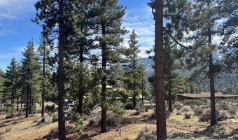 187 Duane Bliss Way Lot 42, Carson City, NV 89705