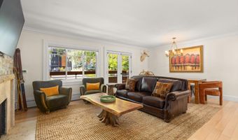 747 S Galena St 230 & 330, Aspen, CO 81611