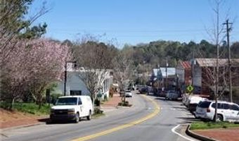723 Calvine Rd, Ball Ground, GA 30107