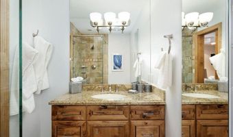 1020 E Durant Ave 301, Aspen, CO 81611
