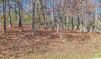 124 LITTLE FAWN Ln, Alabaster, AL 35007