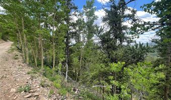 847 COUNTY ROAD 787, Alma, CO 80420