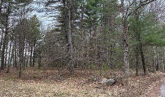 Lot 87-1-2 Drown Road, Alfred, ME 04002