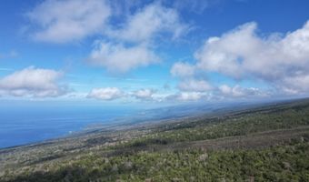 ABOVE MAMALAHOA, Captain Cook, HI 96704