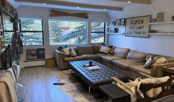 927 VINE St, Aspen, CO 81611