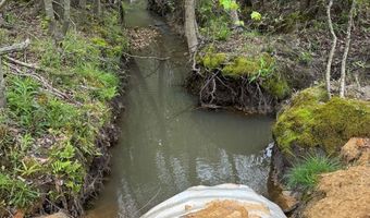 377 Acres Brent, Barnesville, GA 30204