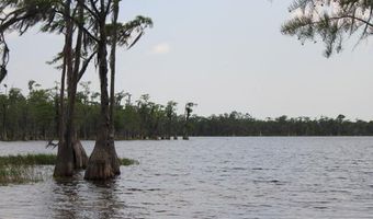 21558 NW Lake Mckenzie Blvd, Altha, FL 32421