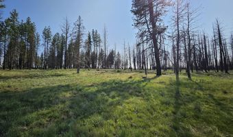 Parazoo Trail Lot 2 Block 8, Bly, OR 97622