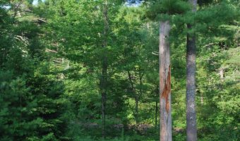 1 Judges Point Rd, Abbot, ME 04406