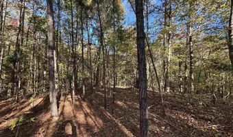 0 WALDROP Rd 10.82 Acres, Ashville, AL 35953