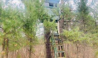 42 53A COUNTY ROAD Q, Amherst Junction, WI 54407