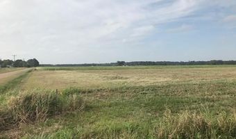 Vie Terre Beau Road, Basile, LA 70515