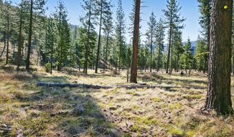 13902 Highland Trl, Alberton, MT 59820