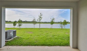 233 MANGROVE SHADE Cir, Apollo Beach, FL 33572