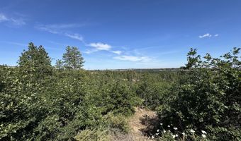 112 TIMBER Rd, Bickleton, WA 99322