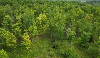 TBD OFF CR 426, Arnold, MI 49819