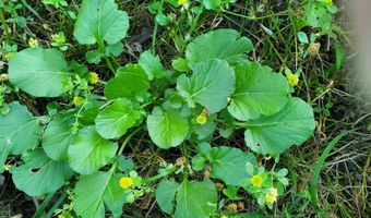 4775 S 50th Rd, Aldrich, MO 65601