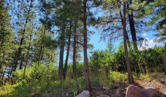 8946 Cottonwood Dr, Beulah, CO 81023