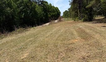 County Road 50, Abbeville, AL 36310
