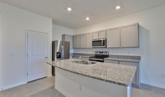 233 MANGROVE SHADE Cir, Apollo Beach, FL 33572