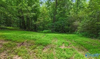 Unit # 0 Murphree Valley Road, Altoona, AL 35952