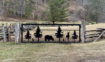 99999 Big Rock Creek Dr, Bakersville, NC 28705