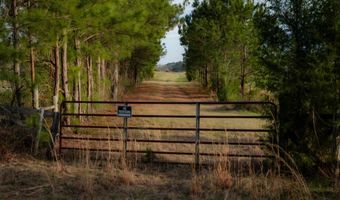 179 Lakefront Dr, Abbeville, AL 36310
