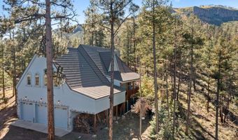 12 County Rd 2074, Alpine, AZ 85920