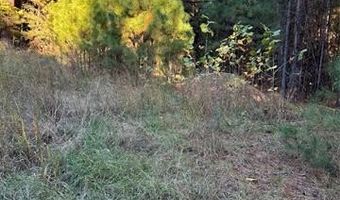 421041 E 1945 Ln, Antlers, OK 74523