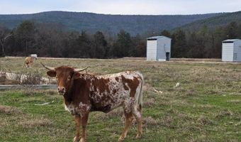 01 TBD Bates Arkansas, Bates, AR 72958