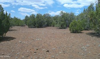 74 Co Rd, Concho, AZ 85924