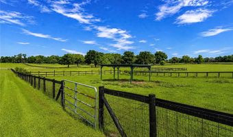 12345 NE 14TH Ave, Anthony, FL 32617