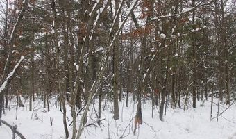 VL Good, Alger, MI 48610