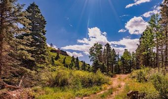 County Rd 46, Aguilar, CO 81020
