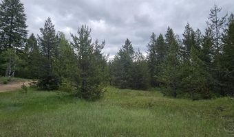 23 Sawtooth Loop, Cascade, ID 83611