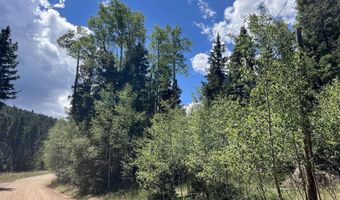 36 Sheilds Ave, Angel Fire, NM 87710