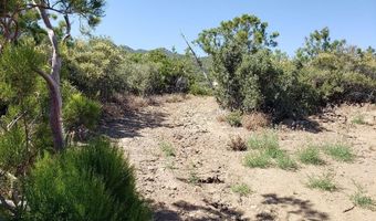 0 Ribbonwood Dr, Mountain Center, CA 92561