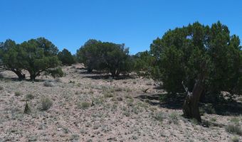 Tbd Rio Ranch, Concho, AZ 85924