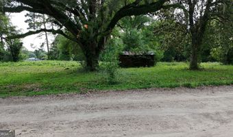 75 ACRE Butler St, Bainbridge, GA 39817