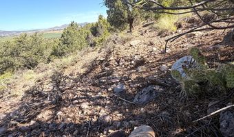 1037 S Canyon Dr, Cedar City, UT 84720