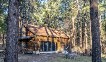 28 COUNTY RD. N2175 HULSEY LAKE RD., Alpine, AZ 85920